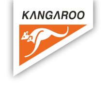 Вебинар Kangaroo 1 июня